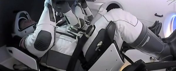 Update: 2 astronauts just left the space station on board SpaceX's Crew Dragon