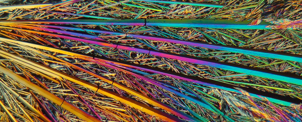 Micrograph of vitamin B crystals under polarised light. 