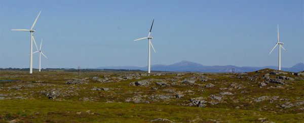 Making one simple change to wind turbines could cut bird deaths by 70 percent