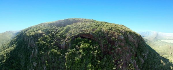 Human ancestors made beds 200,000 years ago, and then burnt them