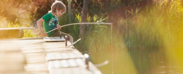 Kids need to spend time alone outdoors to really bond with nature, study finds