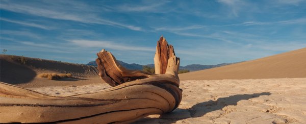 Scorching Death Valley may have just reached a new global heat record