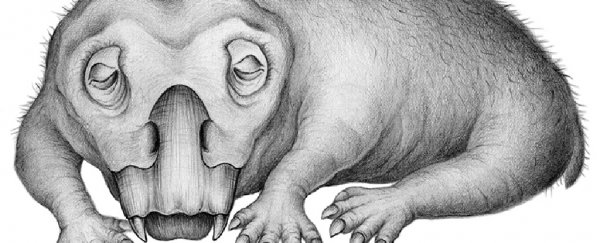 This weird creature is the first we know of that hibernated - 250 million years ago