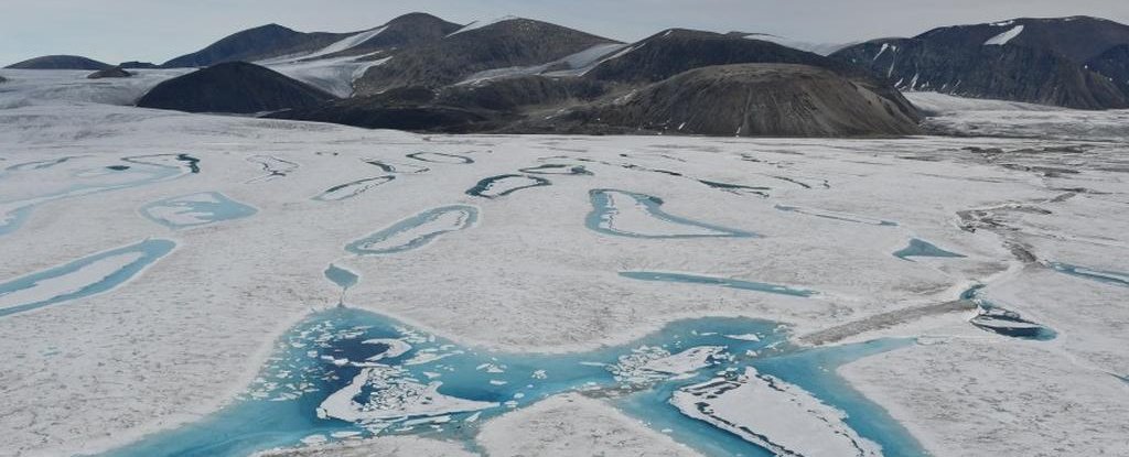 The Milne ice shelf. 
