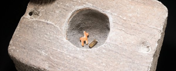 Ancient Llama, Discovered in Stone Box Under a Lake, Was Likely a Gift to Inca Gods