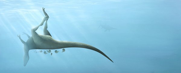 Palaeontologists discover a new species of dinosaur on the Isle of Wight