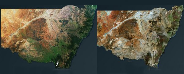 Satellite Images Before And After Australia's Bushfires Reveal a Devastating Contrast