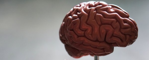 Over 100 years of searching hasn't found key differences between male and female brains