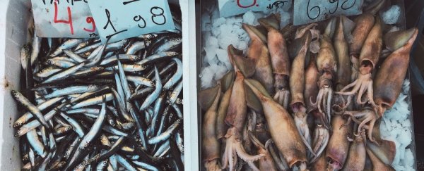 Every single seafood sample tested in this microplastics study was polluted