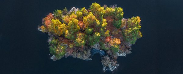 For the first time in years, Earth Overshoot Day has been pushed to a later date