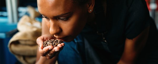 Loss of smell in COVID-19 has an unusual cause, study indicates