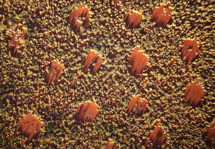 010 fairy circles 1