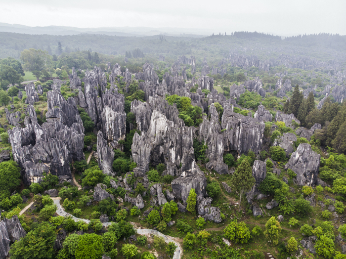 010 stone forests 2