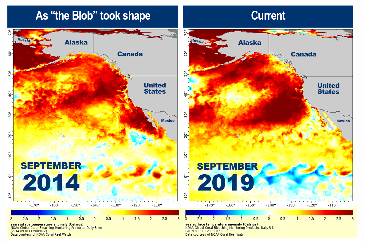 (NOAA)