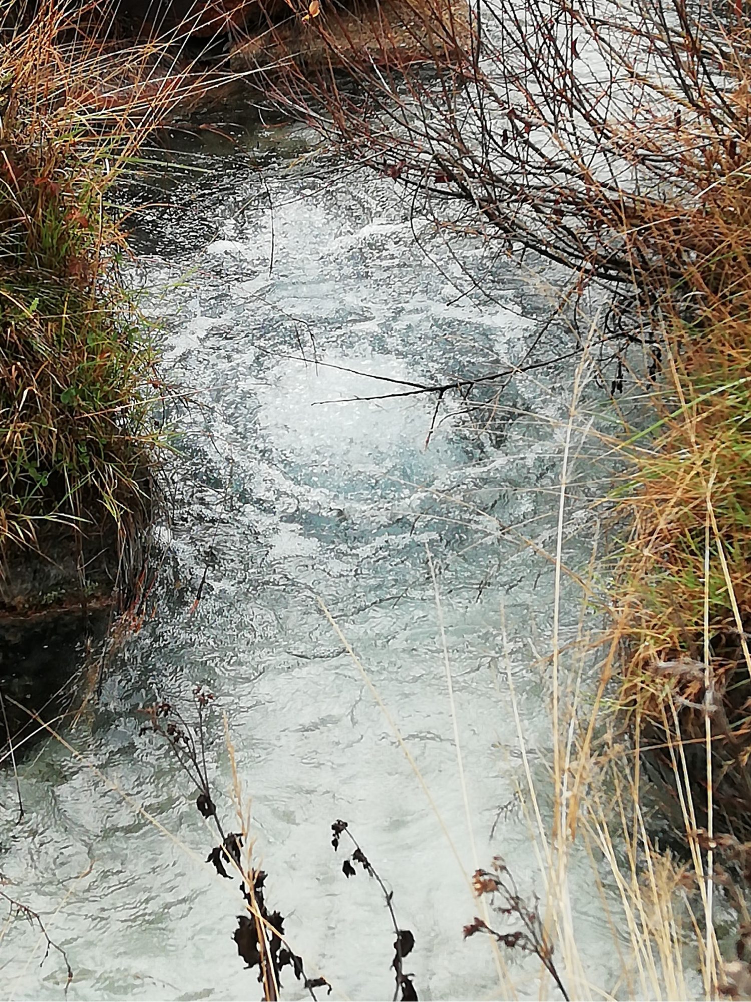 Spring water bubbling