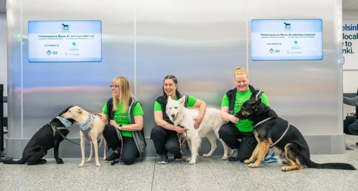 Dogs Used in finland airport to detecting coronavirus