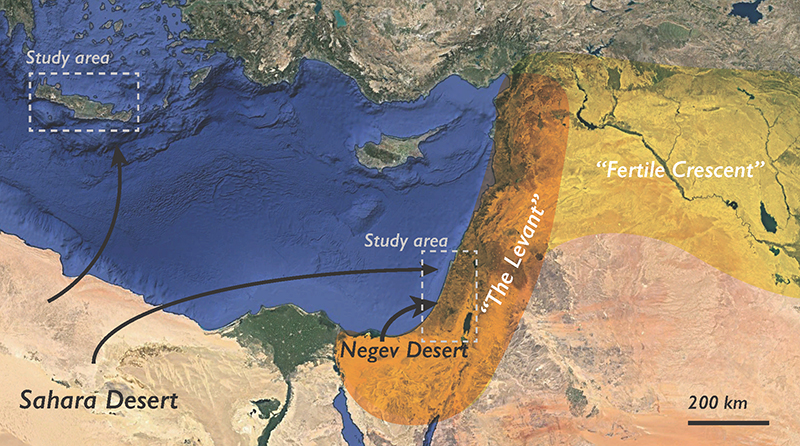 dust map