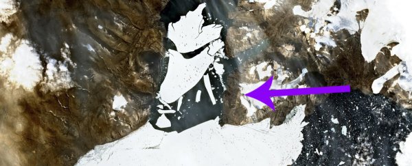 Massive chunk of Greenland's largest glacier just crashed into the sea