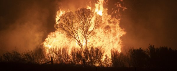 As the west coast burns, study reveals the deadly health toll of Australia's megafires