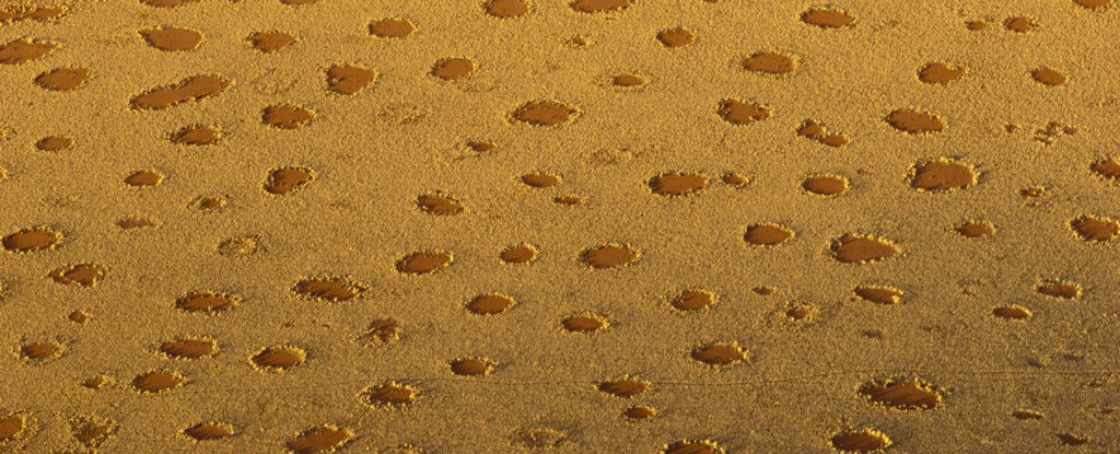 Mysterious Circles in The Desert Explained by Alan Turing Theory From 70 Years Ago - ScienceAlert