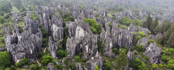 Scientists finally discover how 'stone forests' develop their otherworldly forms