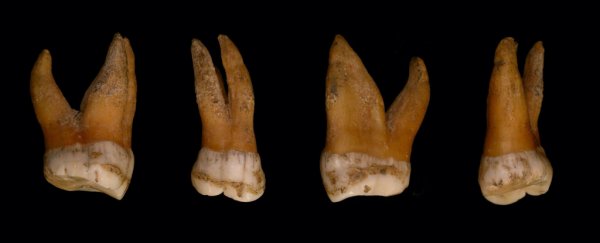 New Study of Neanderthal and Denisovan DNA Reveals a Surprising Link to Men Today