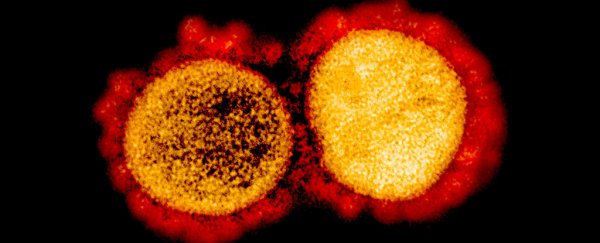 Is the dominant, mutated coronavirus strain more infectious? Experts can't agree