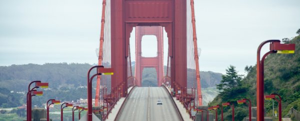 Birds in San Francisco started singing differently in the silence of COVID-19 lockdown