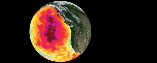 The Massive 'Blob' Anomaly Has Our Fingerprints All Over It, Study Finds