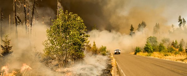 10 tips for dealing with wildfire smoke, from a public health expert