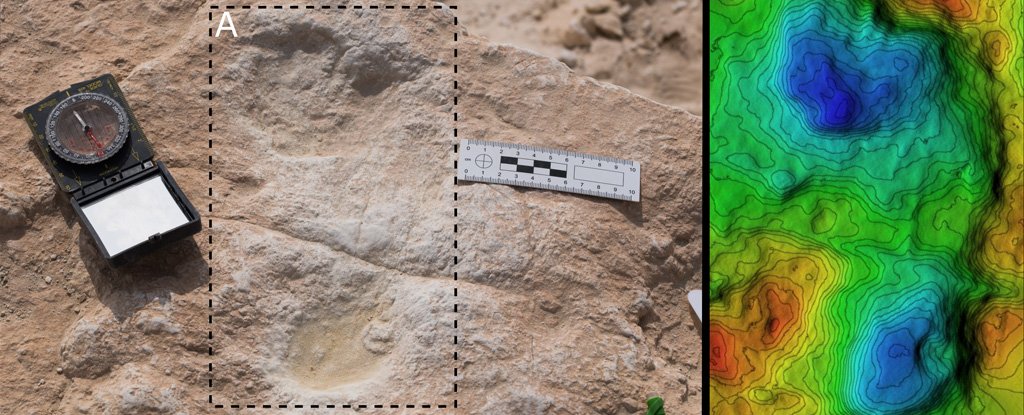 First human footprint found at Alathar and corresponding digital elevation model.