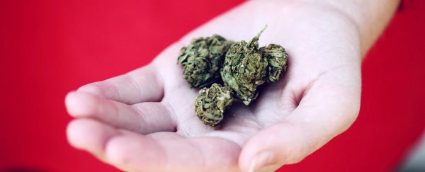 A joint after work doesn't affect at-work productivity, says study