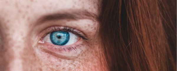 Are humans still evolving? Scientists weigh in