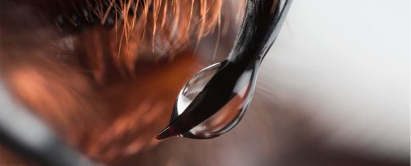 We may finally know why male funnel web spiders are so deadly to humans