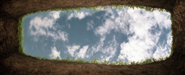 Can the leaves of plants help us find buried human remains?