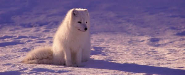 We set 20 targets to save our planet a decade ago, and we've missed them all
