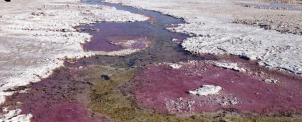 We may finally know what life on Earth breathed before there was oxygen