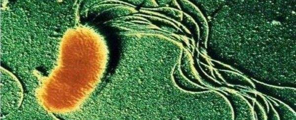 Scientists have found the molecule that allows bacteria to 'exhale' electricity