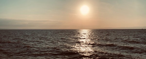 The ocean is becoming more stable, and the consequences may be dire, scientists warn