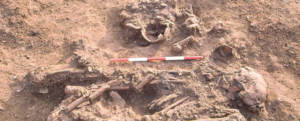 Remains of a woman buried with the bones of three older individuals. 