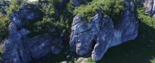 Archaeologists just sequenced some of the oldest Neanderthal DNA found in Europe