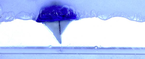 Physicists made boats sail upside-down on an ocean of levitating liquid