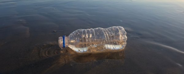 Newly Created Mutant Enzyme Hybrid Is Six Times Better at Devouring Plastic