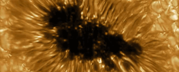 New high-res images of the Sun show how creepy sunspots look in closeup