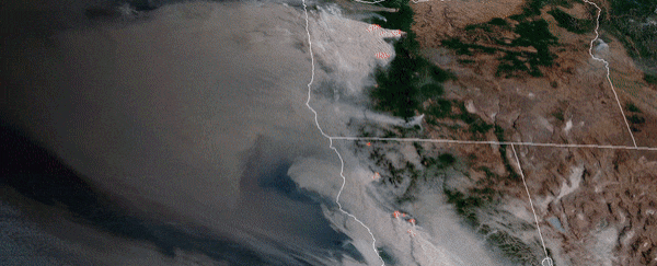 Wildfire smoke could leave lungs vulnerable to COVID-19 and the flu, warn scientists
