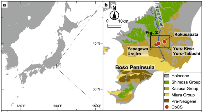 Chiba Composite sectino