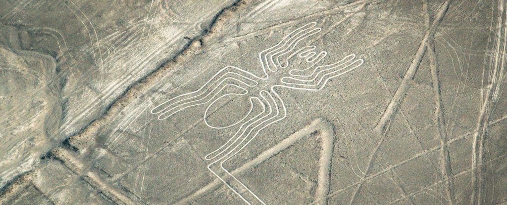 nazca spiderbody