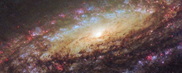 Famous alien-hunting equation inspires new way to predict COVID-19 spread