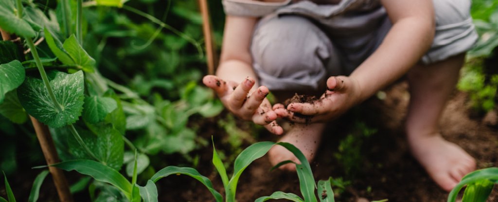 Daycares in Finland Built Their Own 'Forests', And It Changed Kids' Immune Systems