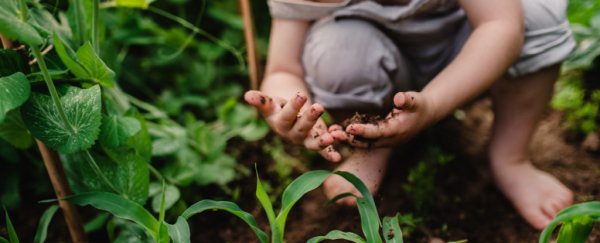 Daycares in Finland built their own 'forests', and it changed kids' immune systems